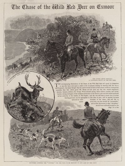 De jacht op het wilde edelhert op Exmoor door John Charlton